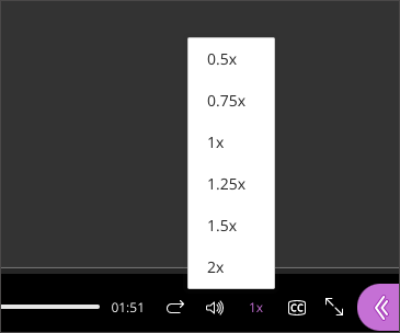 Video playback speed button